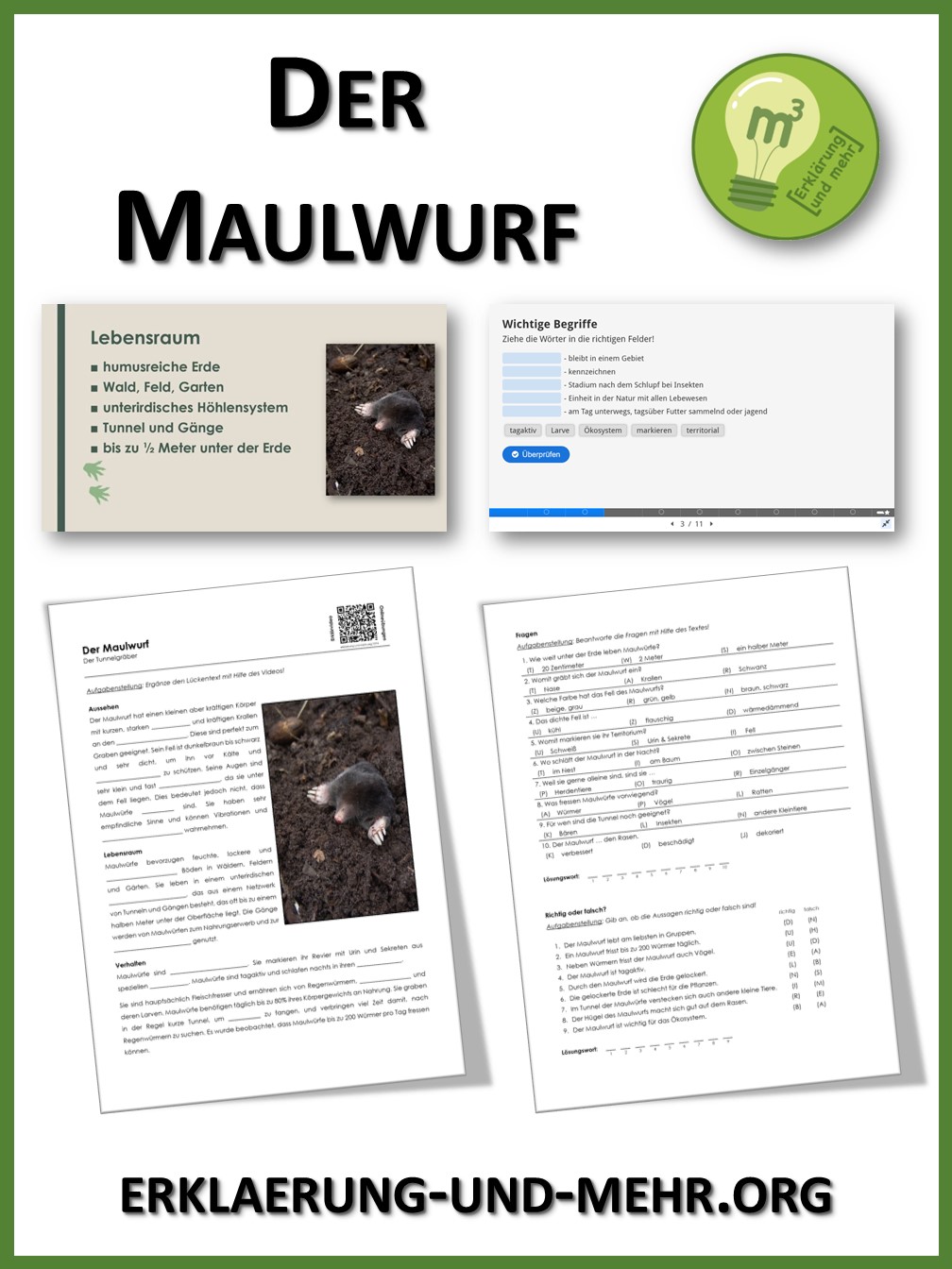 Der Maulwurf (Materialpaket) – Unterrichtsmaterial im Fach Biologie