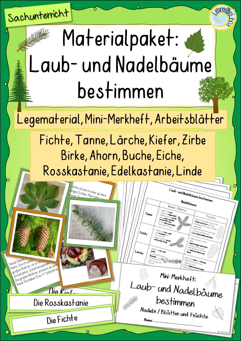 Materialpaket: Laub- und Nadelbäume bestimmen – Unterrichtsmaterial im