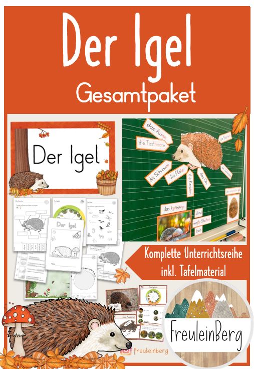 Der Igel - GESAMTPAKET - Klasse 1/2 - differenziert (analog & digital ...
