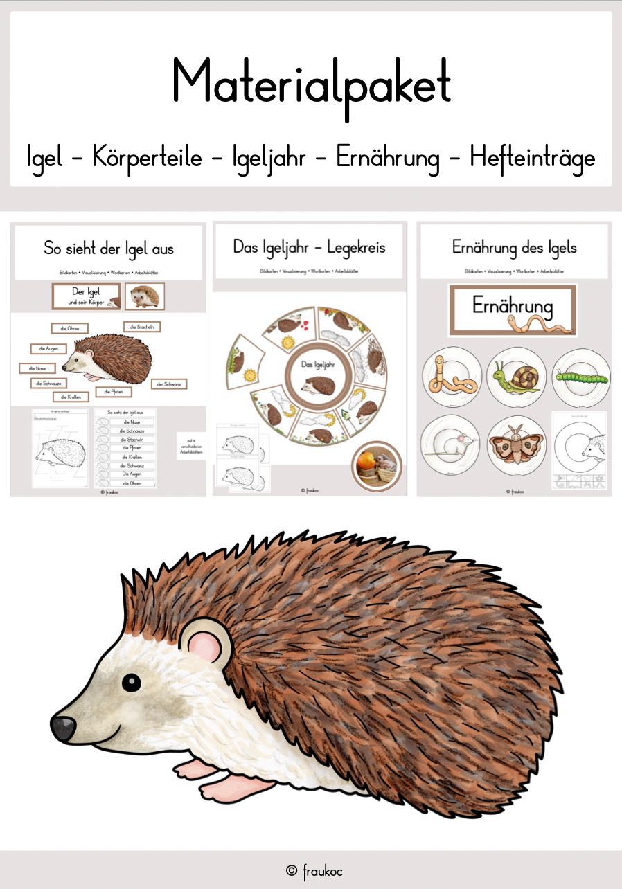 Materialpaket: der Igel – Unterrichtsmaterial im Fach Sachunterricht
