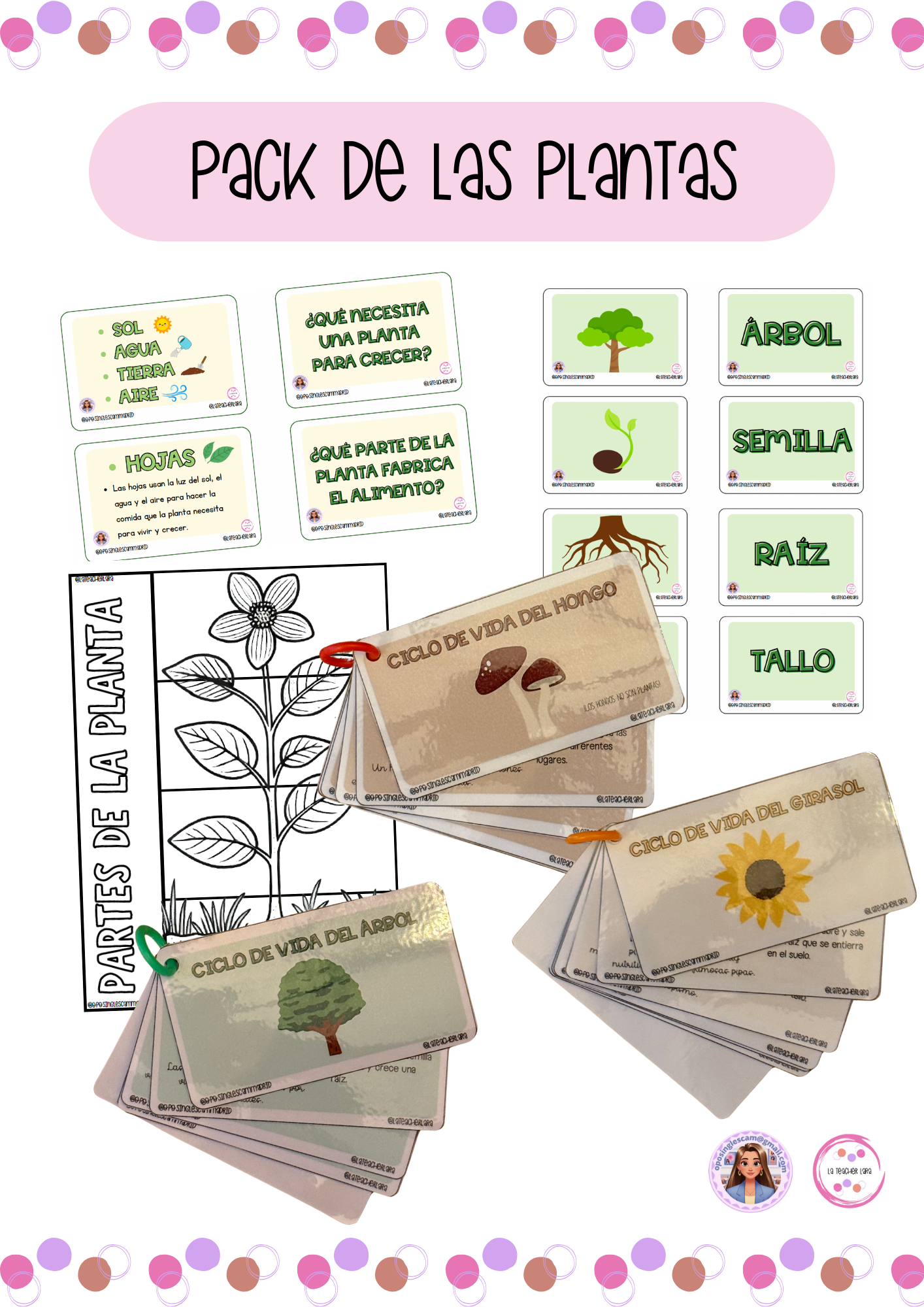 PACK SOBRE LAS PLANTAS Material colaborativo material de la