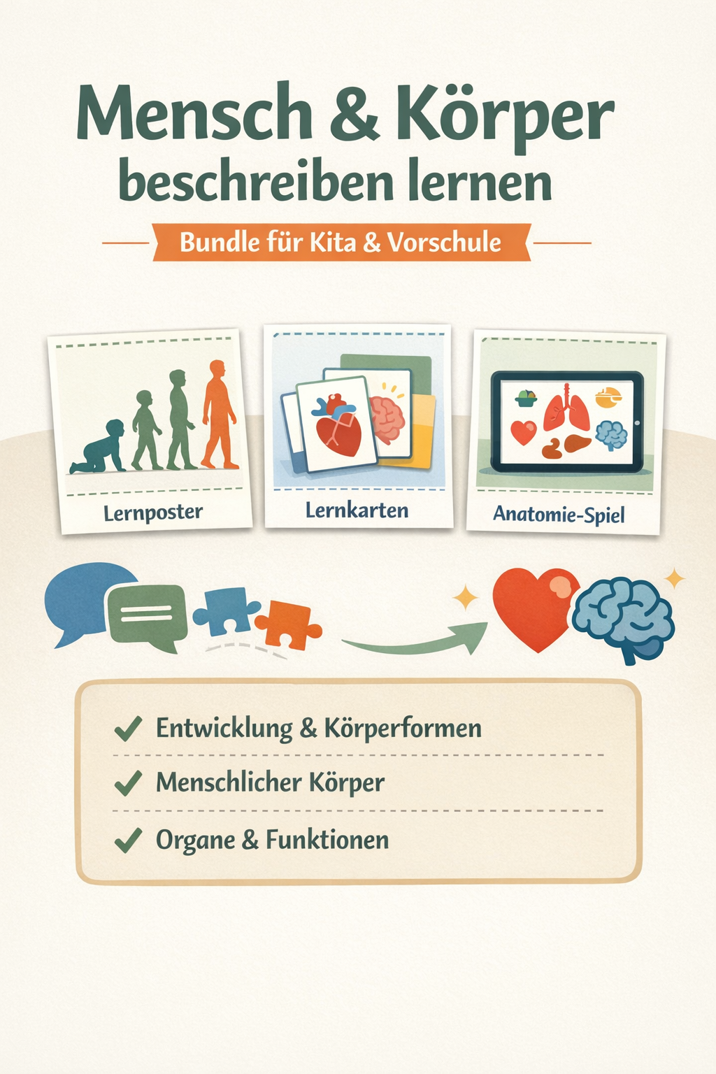 Materialpaket Menschlicher Körper – Entwicklung, Organe & Körperformen ...